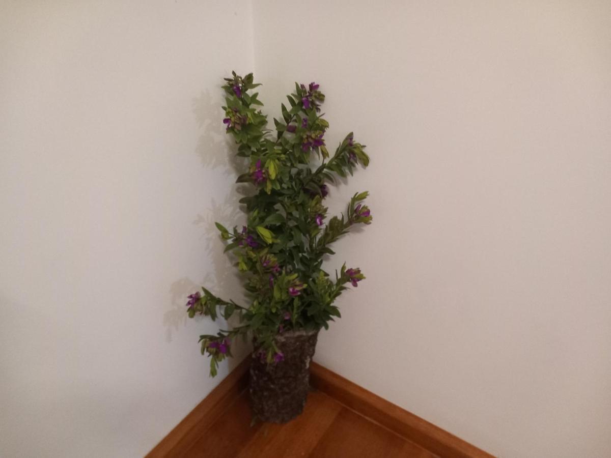 Cantinho Da Aldeia Vila Facaia 外观 照片